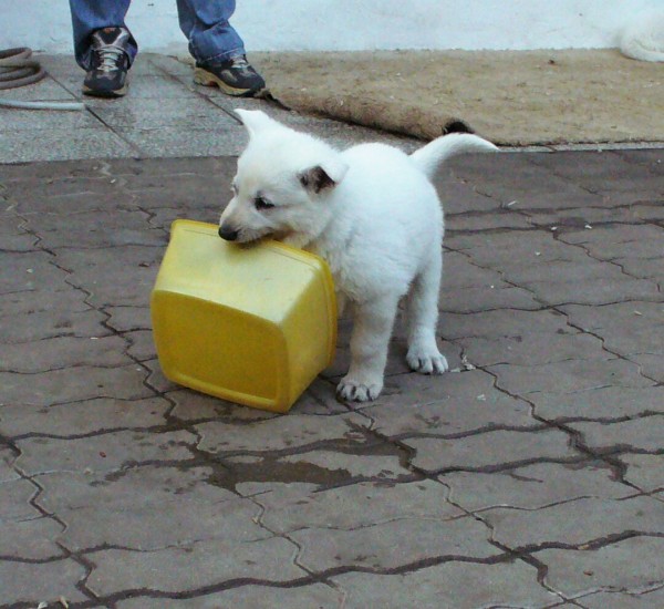 Bak.jpg