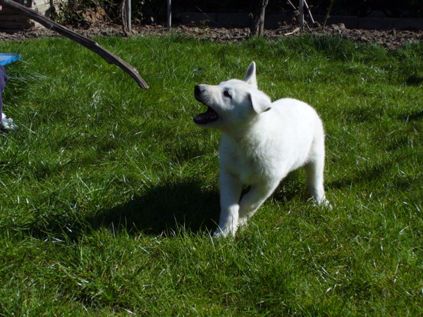 P1020037.JPG