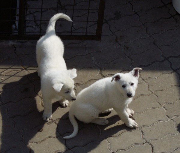 P1020085.JPG