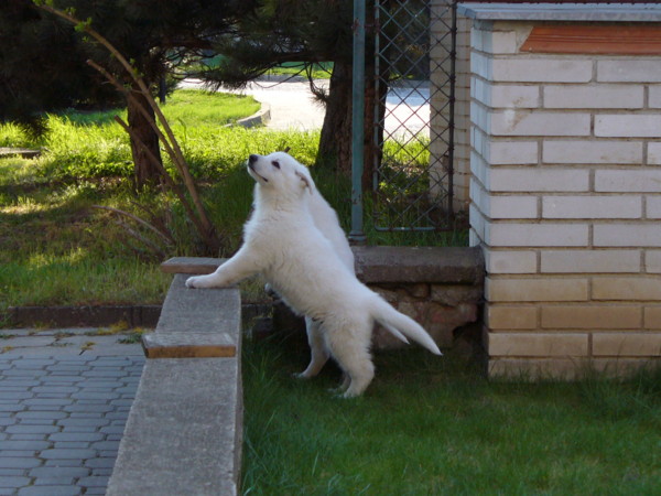 P1020100.JPG