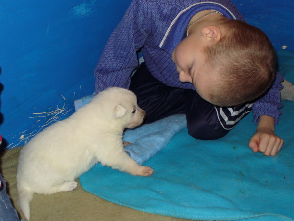 pohled z očí do očí.JPG